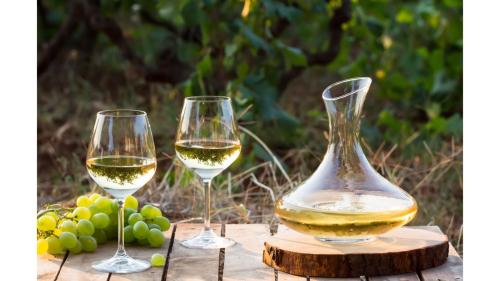 Atelier Bourgogne Blanc - 26/03/2026